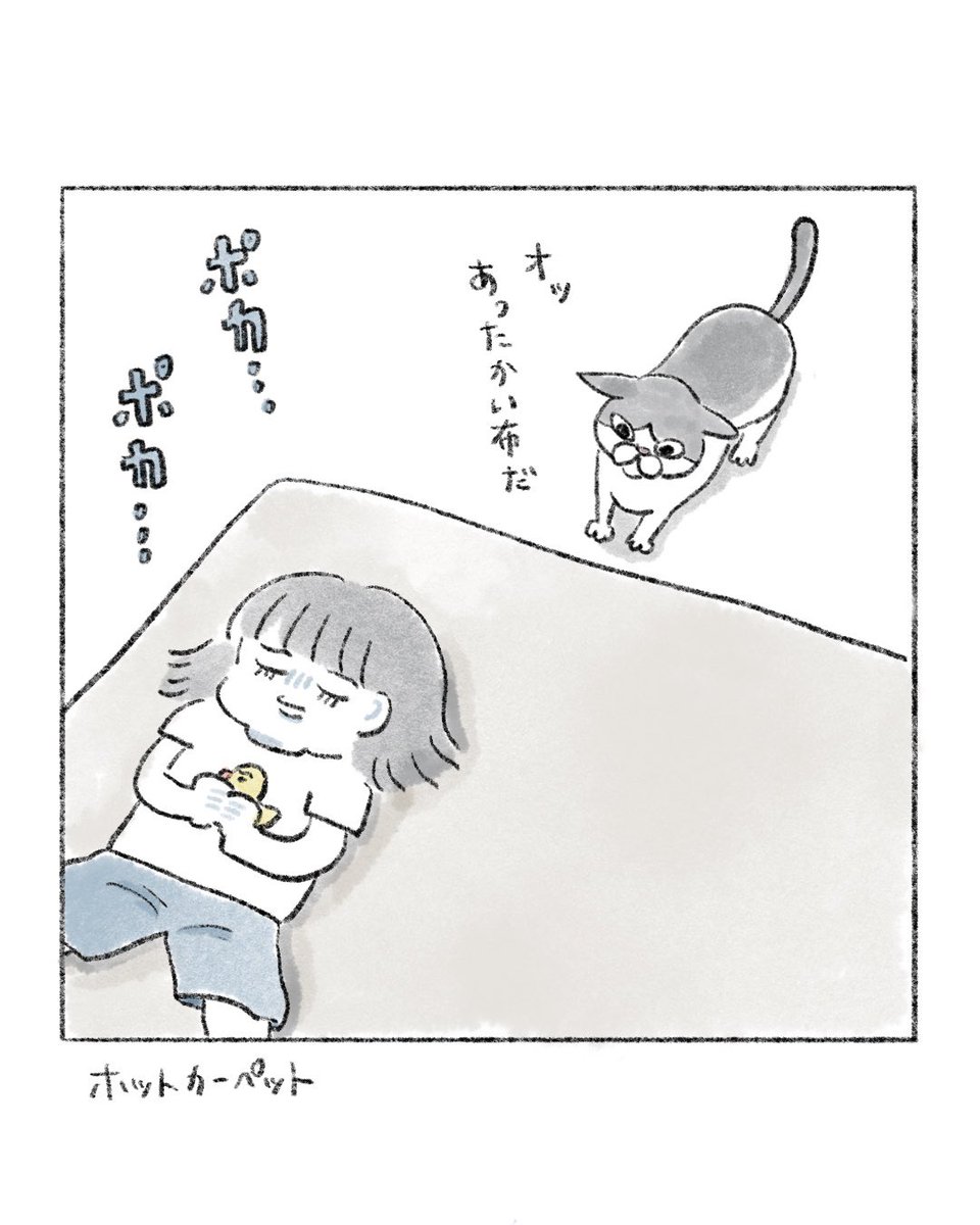 のなか海　書籍発売😽 tweet media