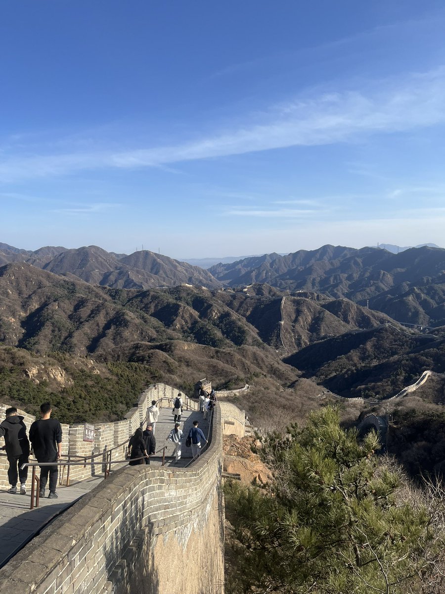 Heddi Premium Chips tweet media