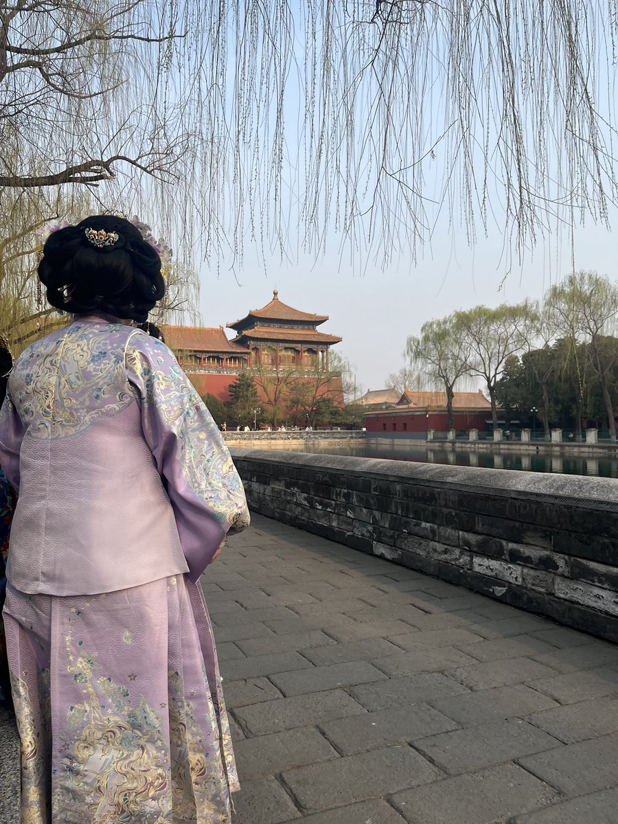 Heddi Premium Chips tweet media