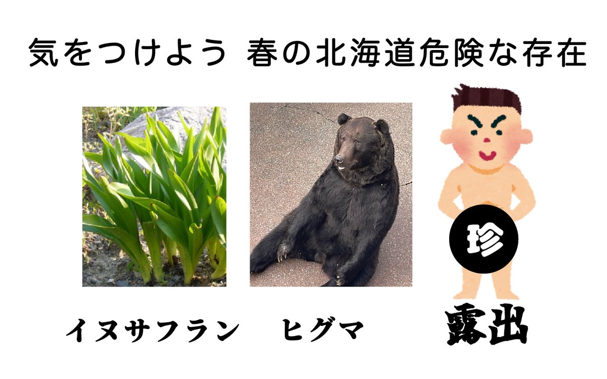 咲来さん tweet media