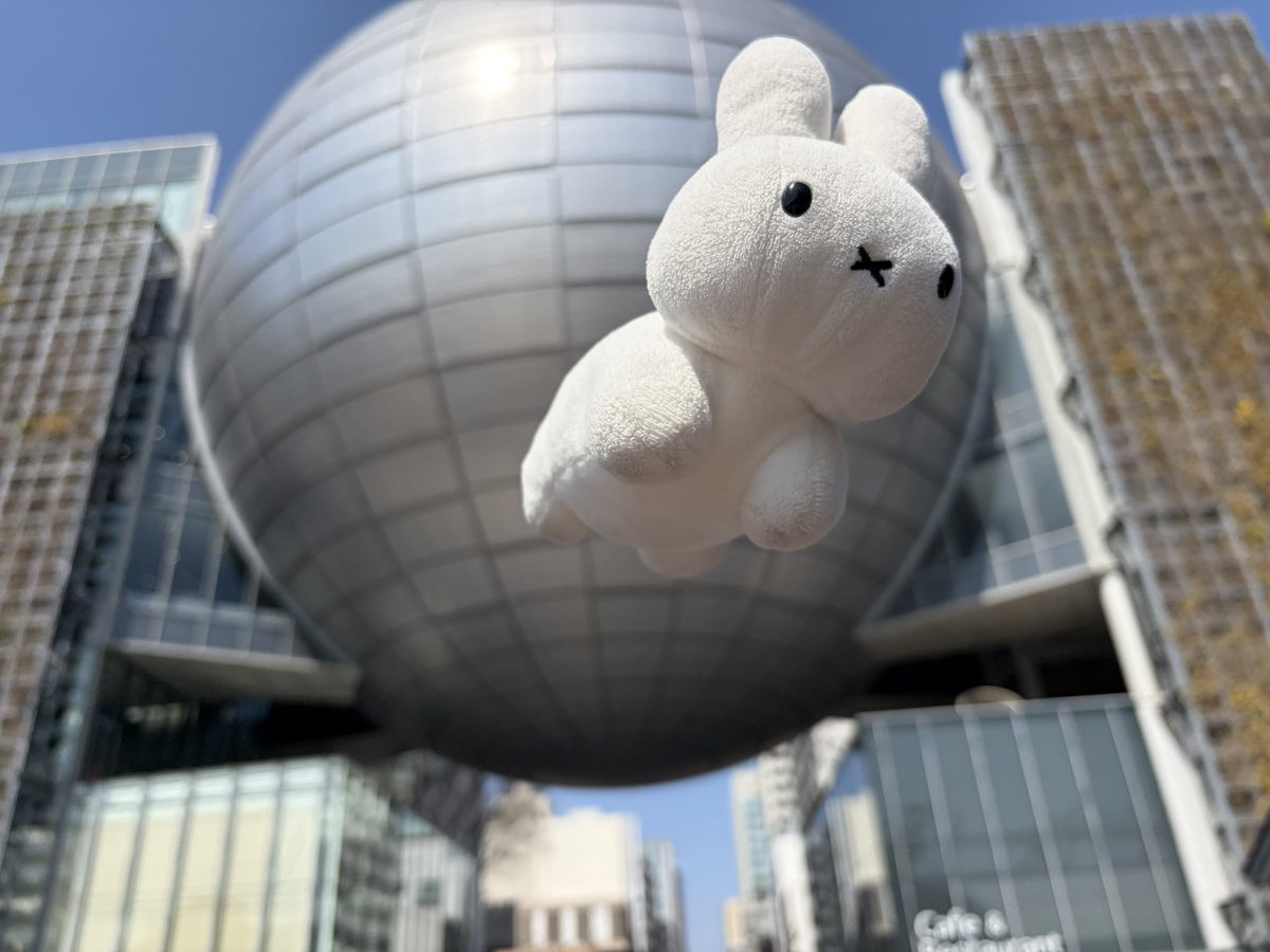 野生のうさぎ tweet media