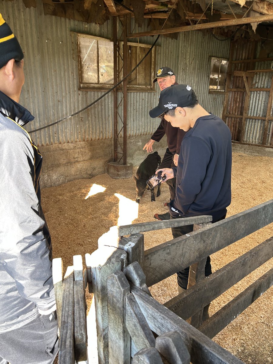 吉廣 広征 /HIROMASA YOSHIHIRO tweet media