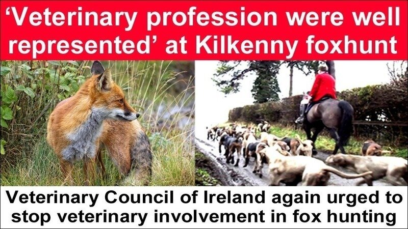 banbloodsports's tweet image. "Veterinary profession were well represented" at Kilkenny fox hunt change.org/p/ban-blood-sp… @of_veterinary #SHAME