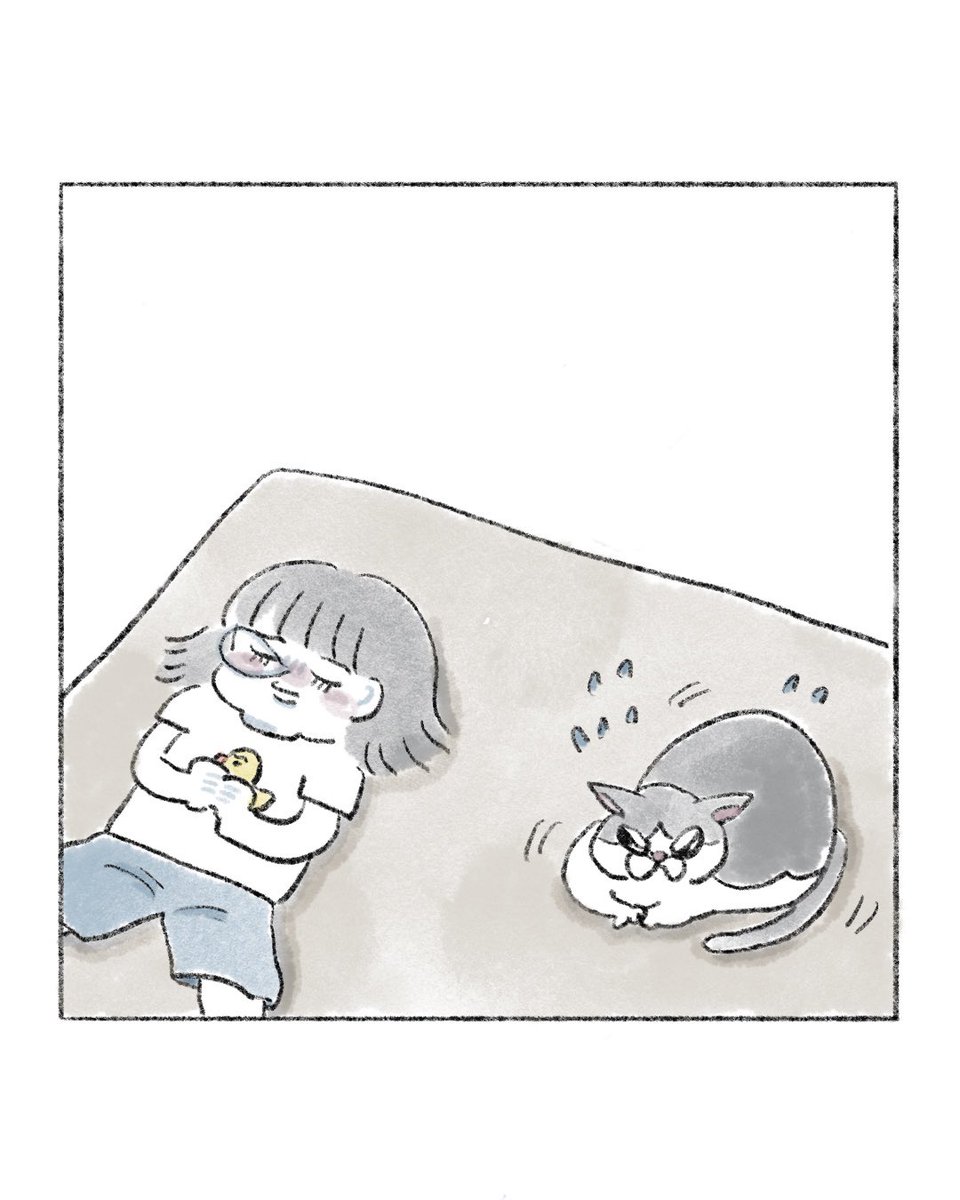 のなか海　書籍発売😽 tweet media