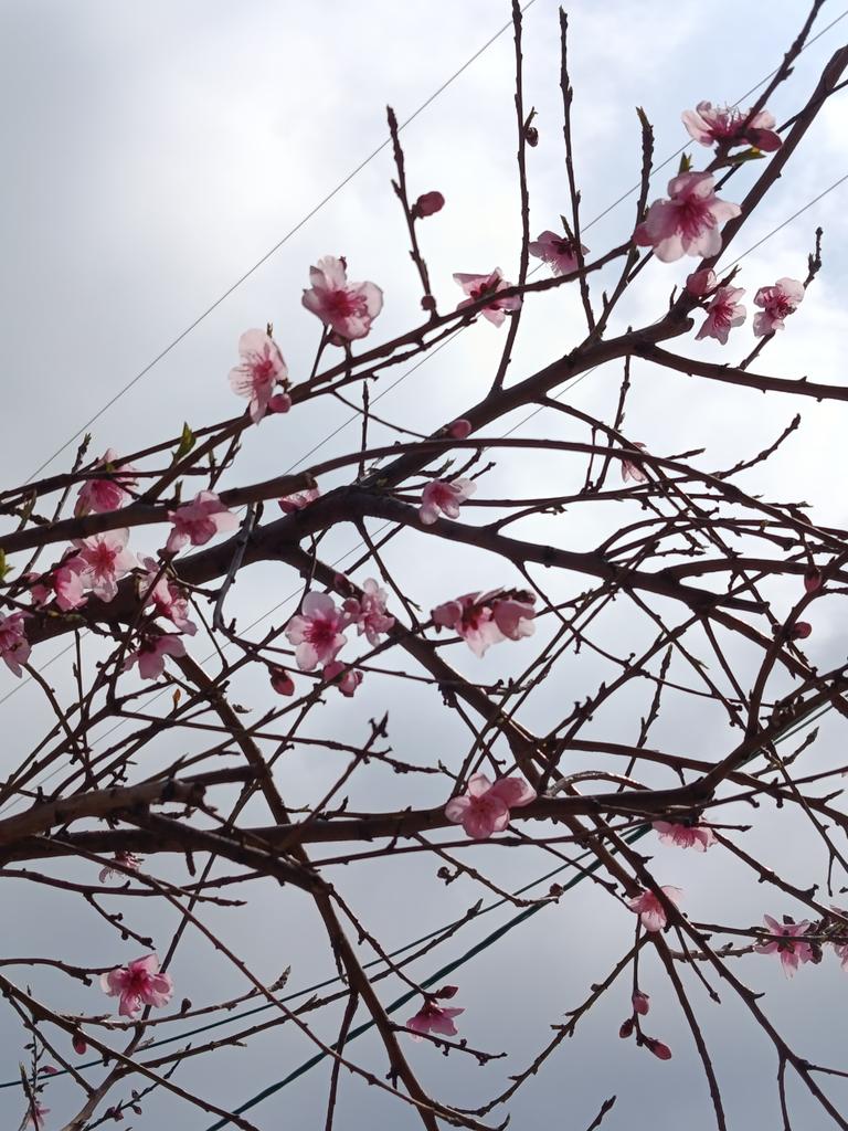 Filio S. 🐚🌊 tweet media