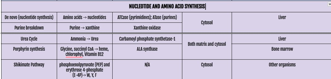 aly frph❤ tweet media