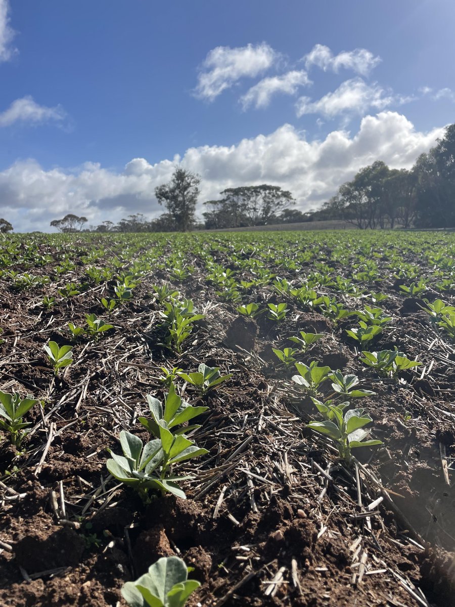 Clear Grain Exchange tweet media