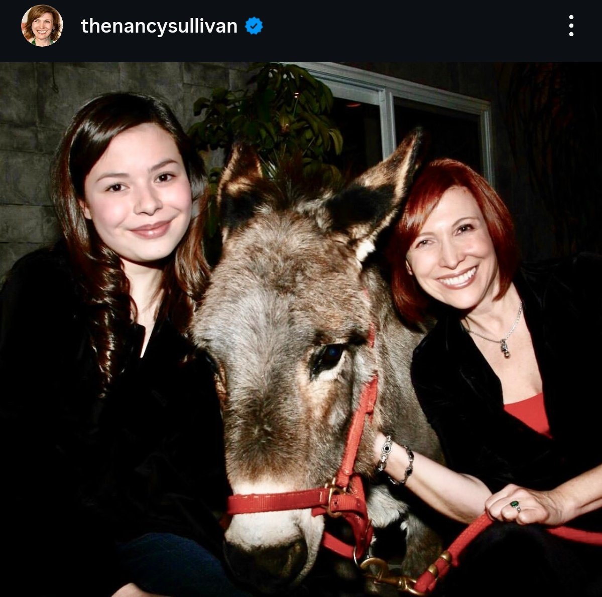 a nancy tem cada foto linda com a miranda né, felizmente ela está soltando tudo