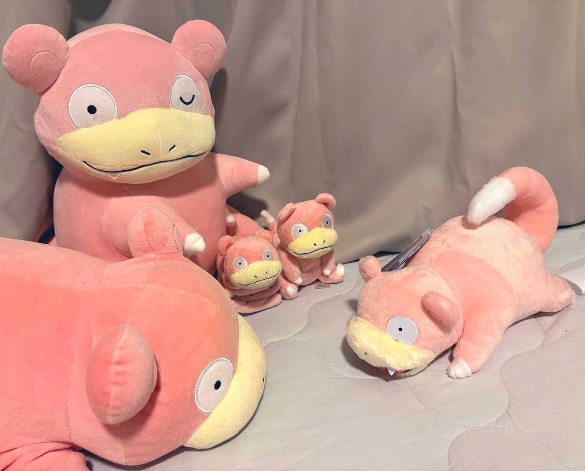 ちぃやん tweet media