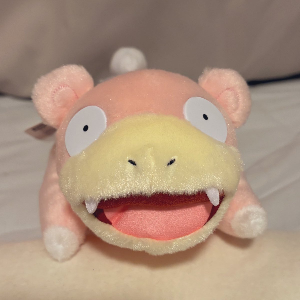 ちぃやん tweet media