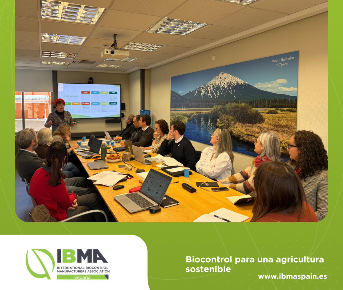 IBMA España tweet media