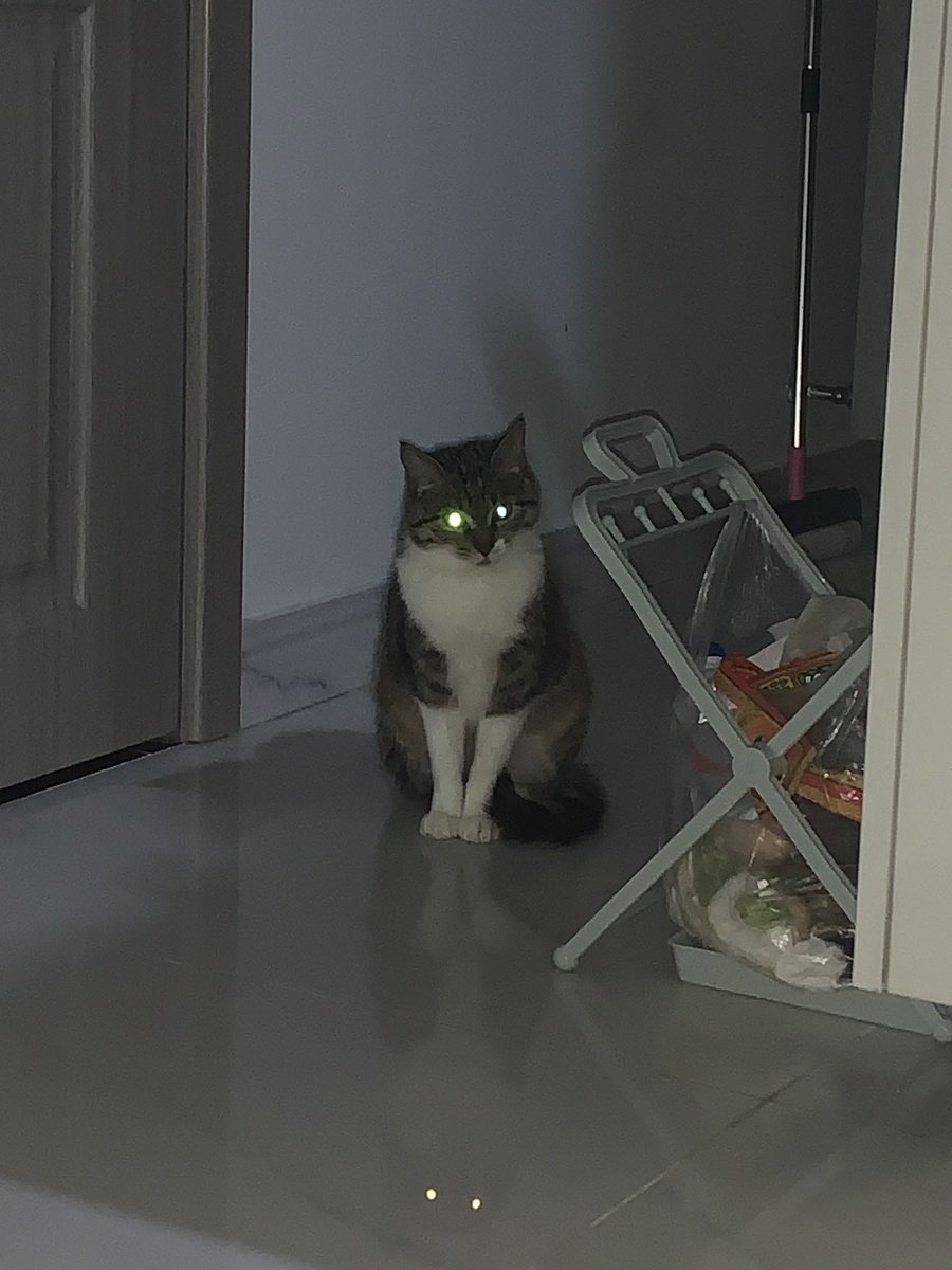 碌碌日记 tweet media