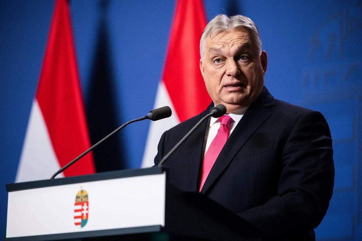 Jürgen Nauditt 🇩🇪🇺🇦 tweet media