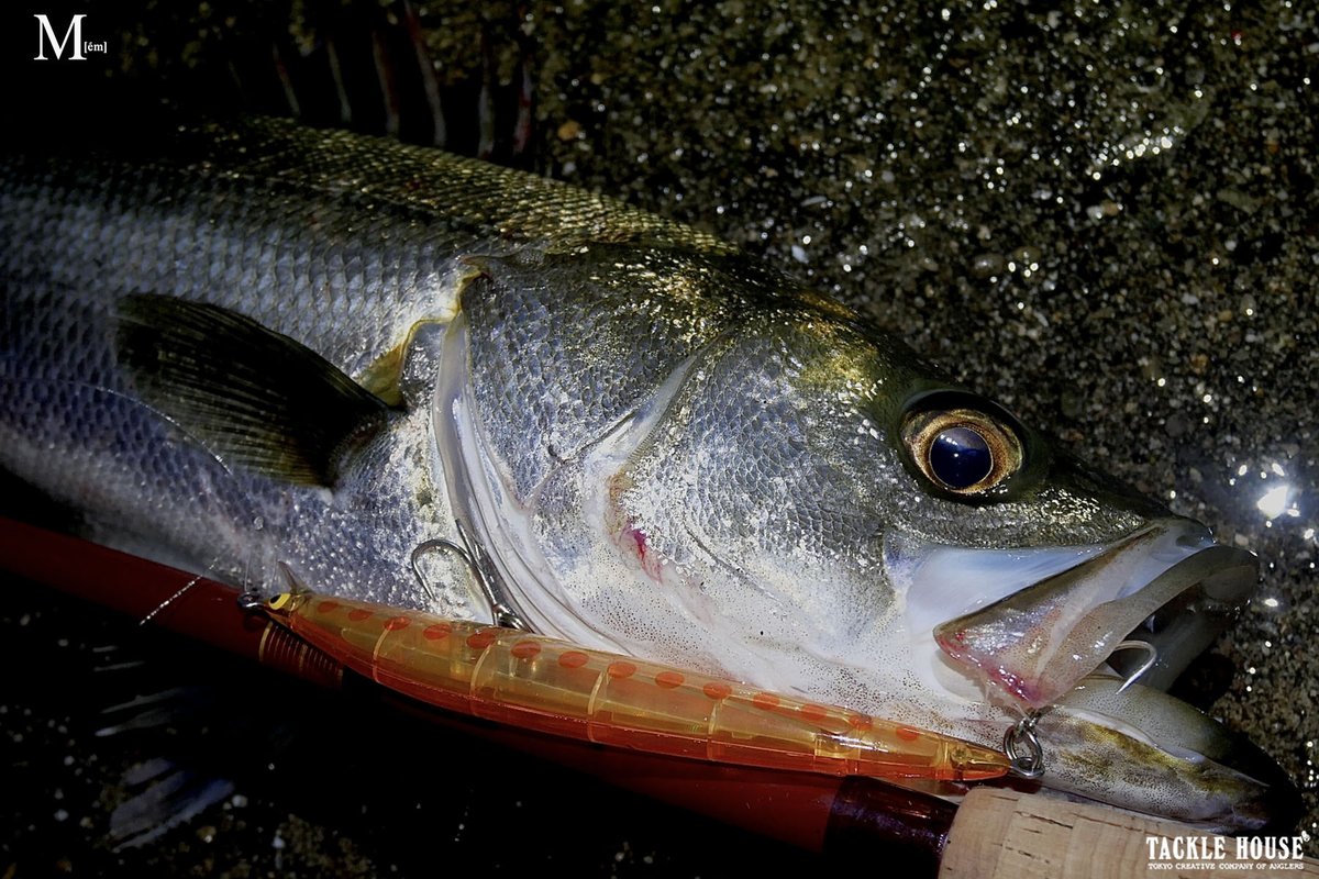 タックルハウス tweet media