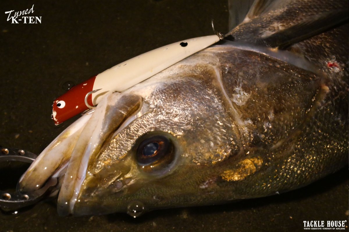 タックルハウス tweet media