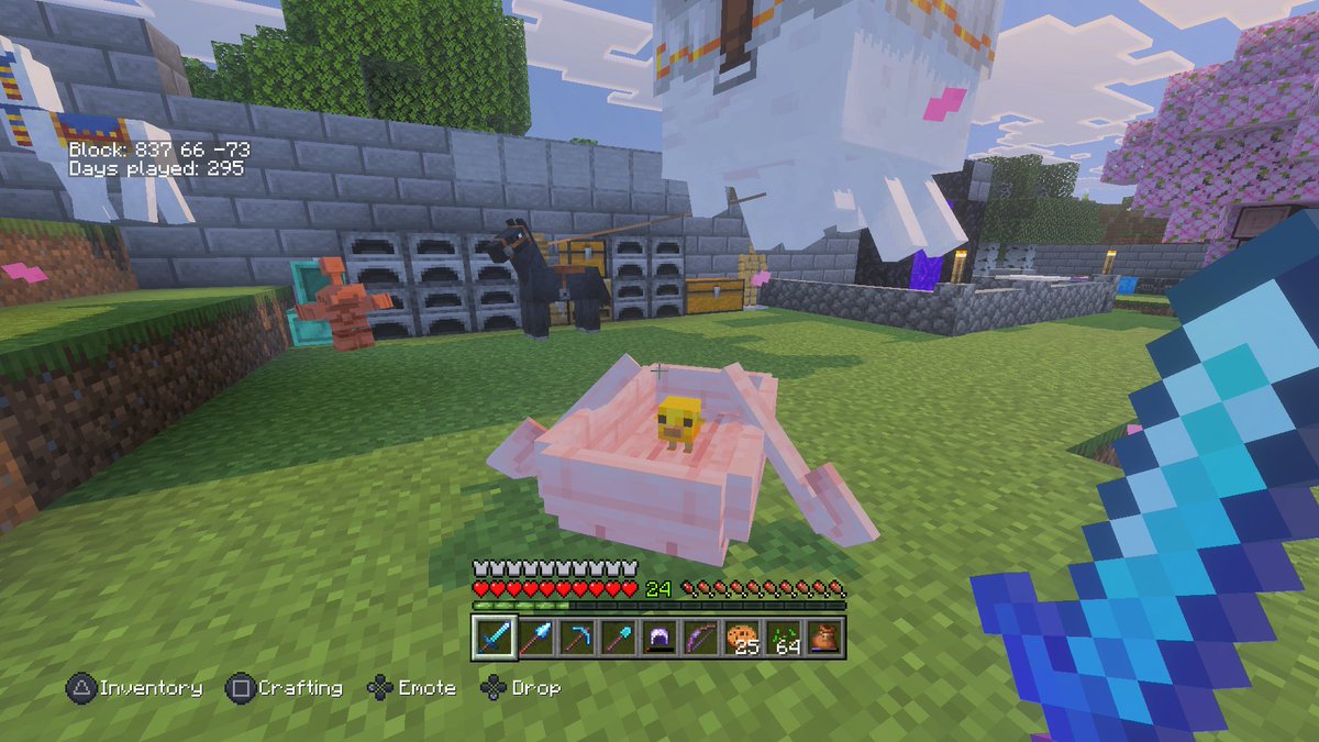 Checking for an update...