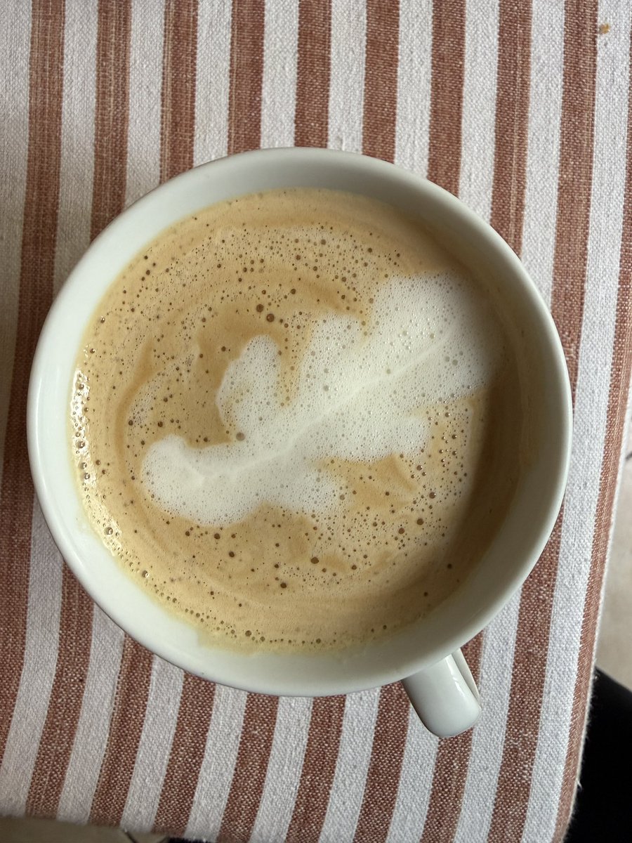 Rye⚡️ tweet media