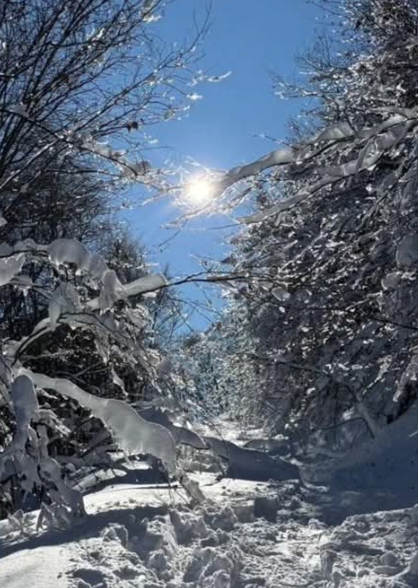 Lori-Gubbio tweet media