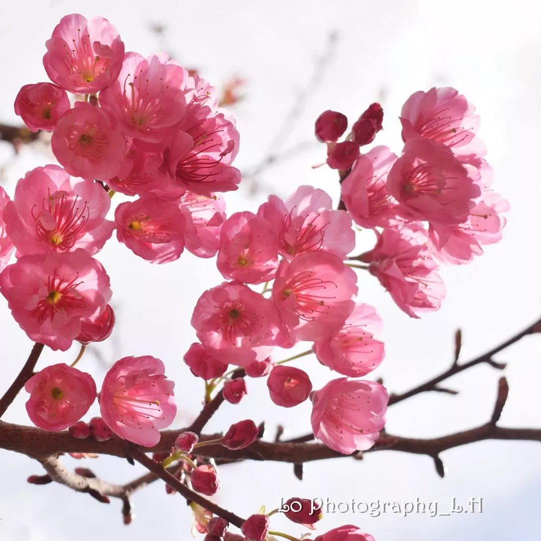 ambermay1e tweet media