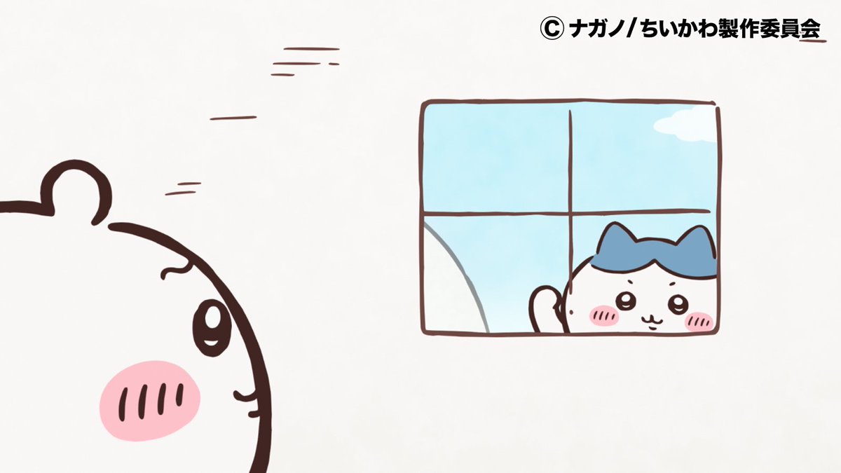 ✨1週間限定見逃し配信中✨】 第329話「下克上と特訓⑥」 ハチワレ