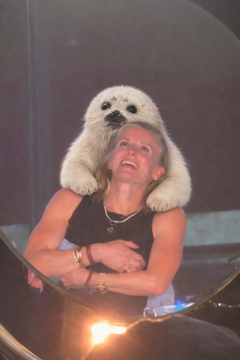 JokerZ.sol tweet media