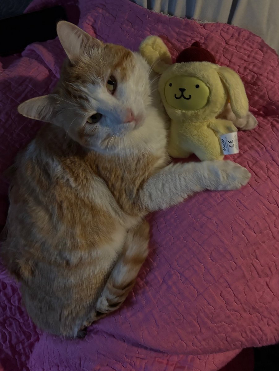 🧙🏻♀️ tweet media