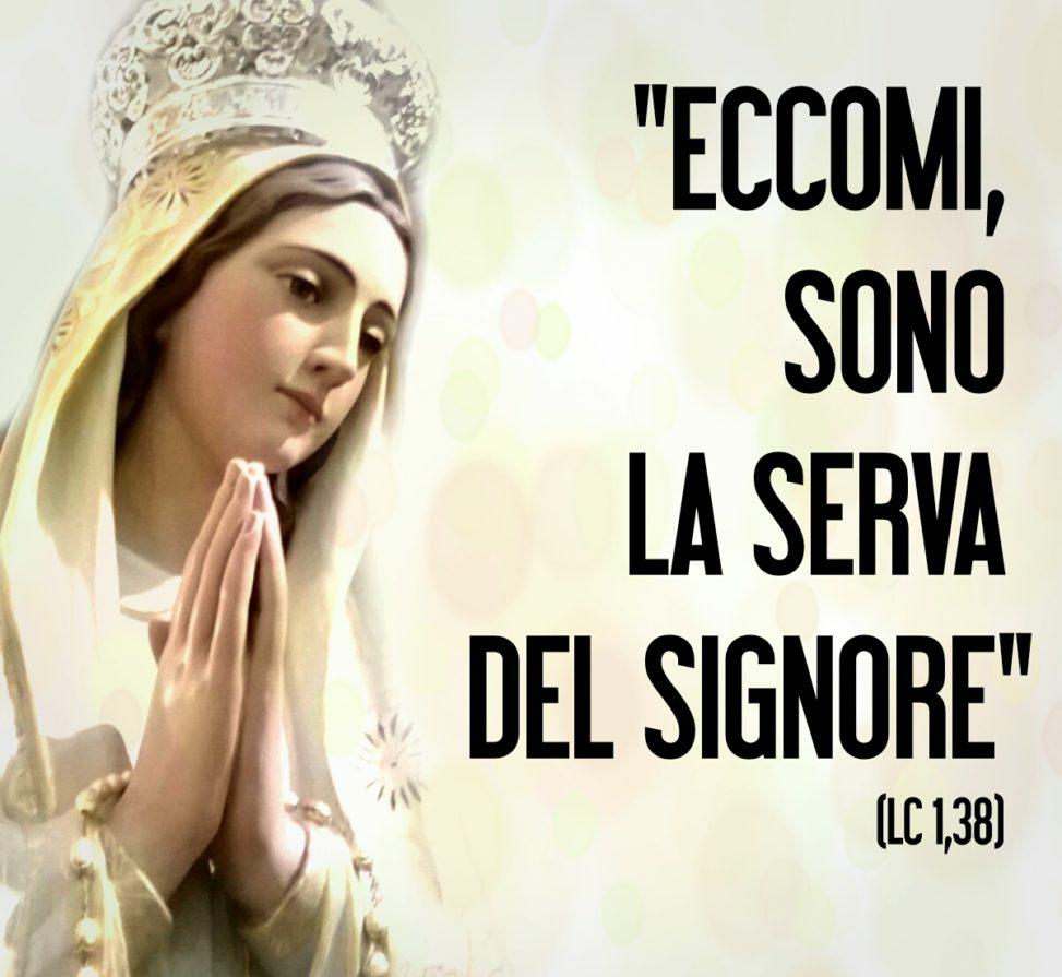 Don Carlo Cittadino tweet media