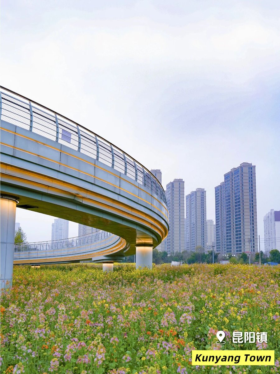 ExplorePingyang's tweet photo. Feel the warmth of March as #spring blooms in #Pingyang county, Wenzhou, #Zhejiang province!🌸 Experience the magic of springtime beauty at every turn! #BeautifulPingyang #TravelInPingyang https://t.co/sYXCF6JtM1