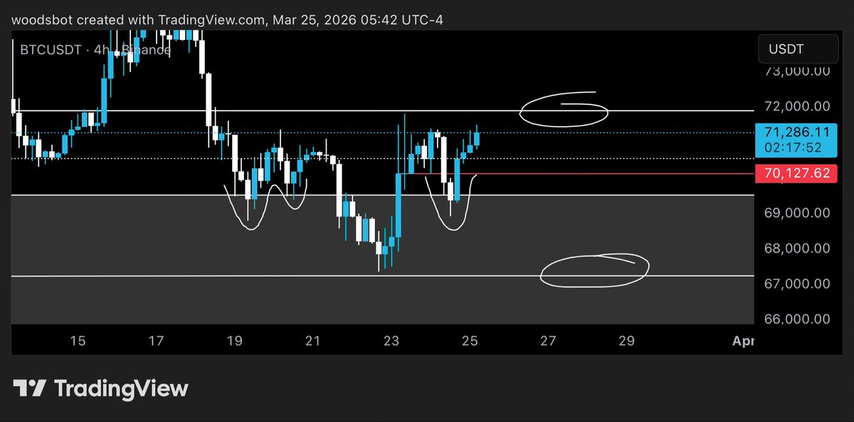 woods.ai tweet media