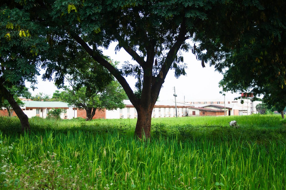 JossyShots🇳🇬 tweet media