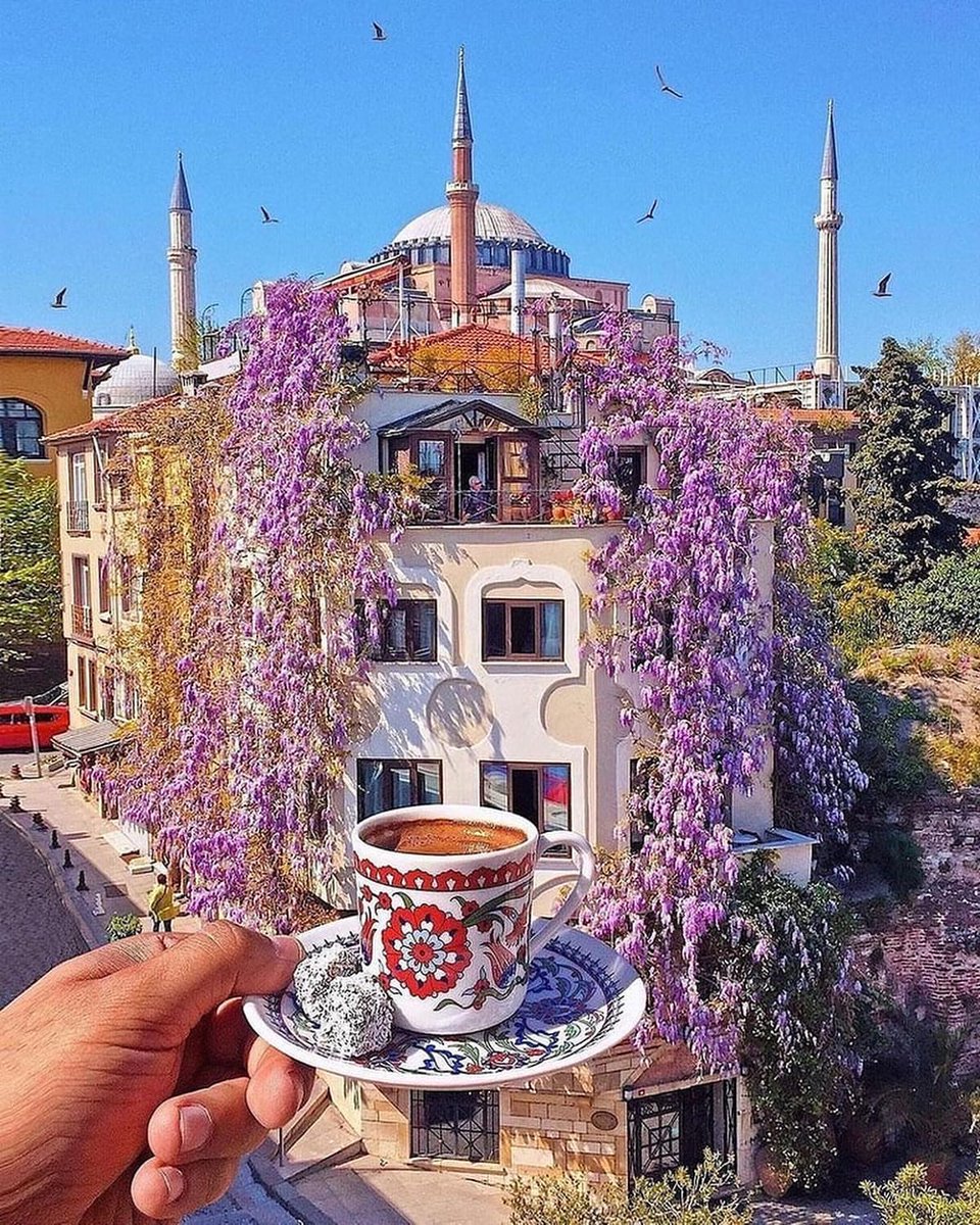 ReNature🦋 tweet media