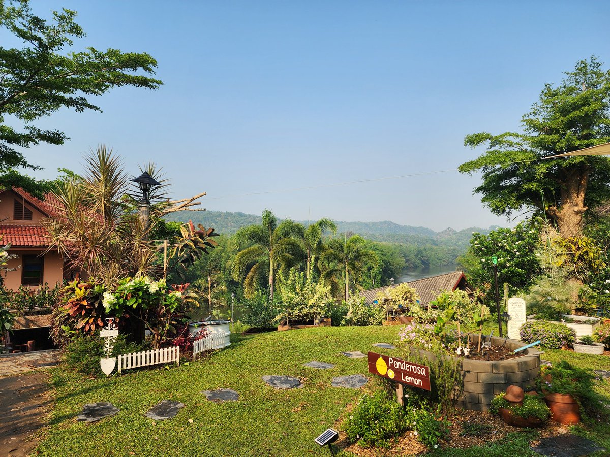 หอมออี tweet media