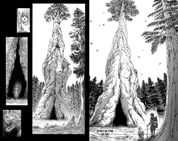 cherry 🍉 #thankyoufujimoto tweet media