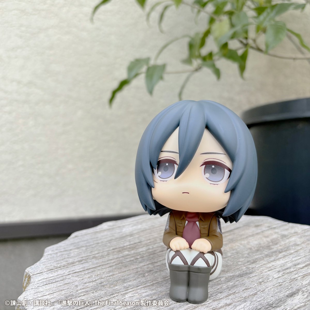 メガハウス_メガホビ tweet media