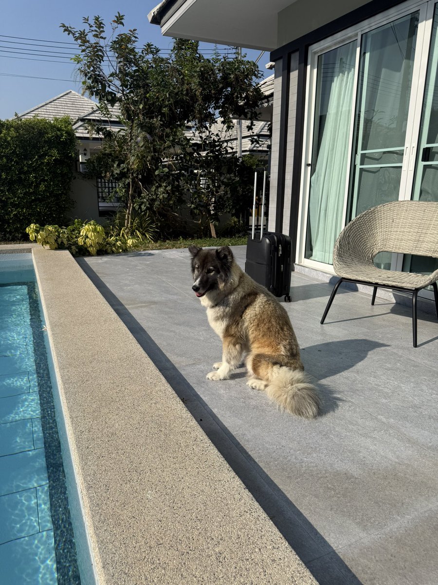 quicks | Solflare tweet media