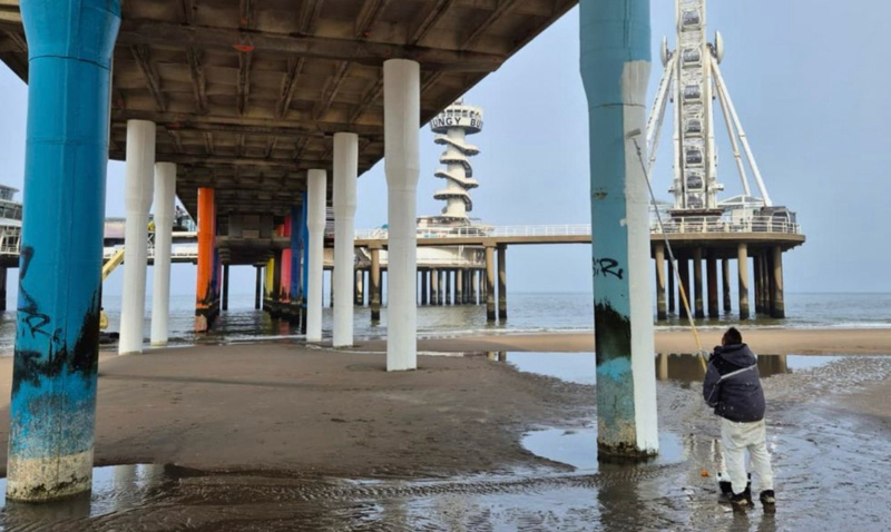 Scheveningen Daily tweet media