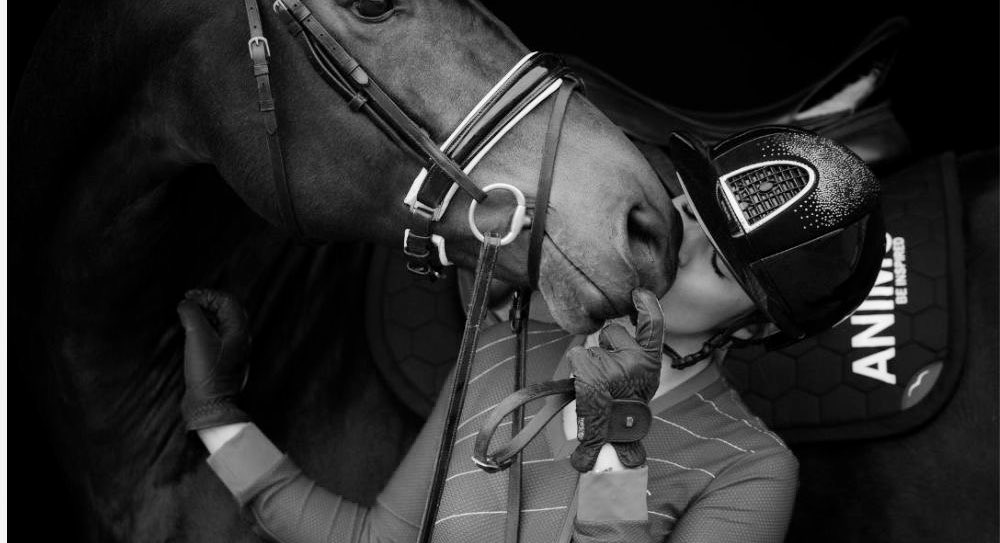 نـِبـض ✗ tweet media