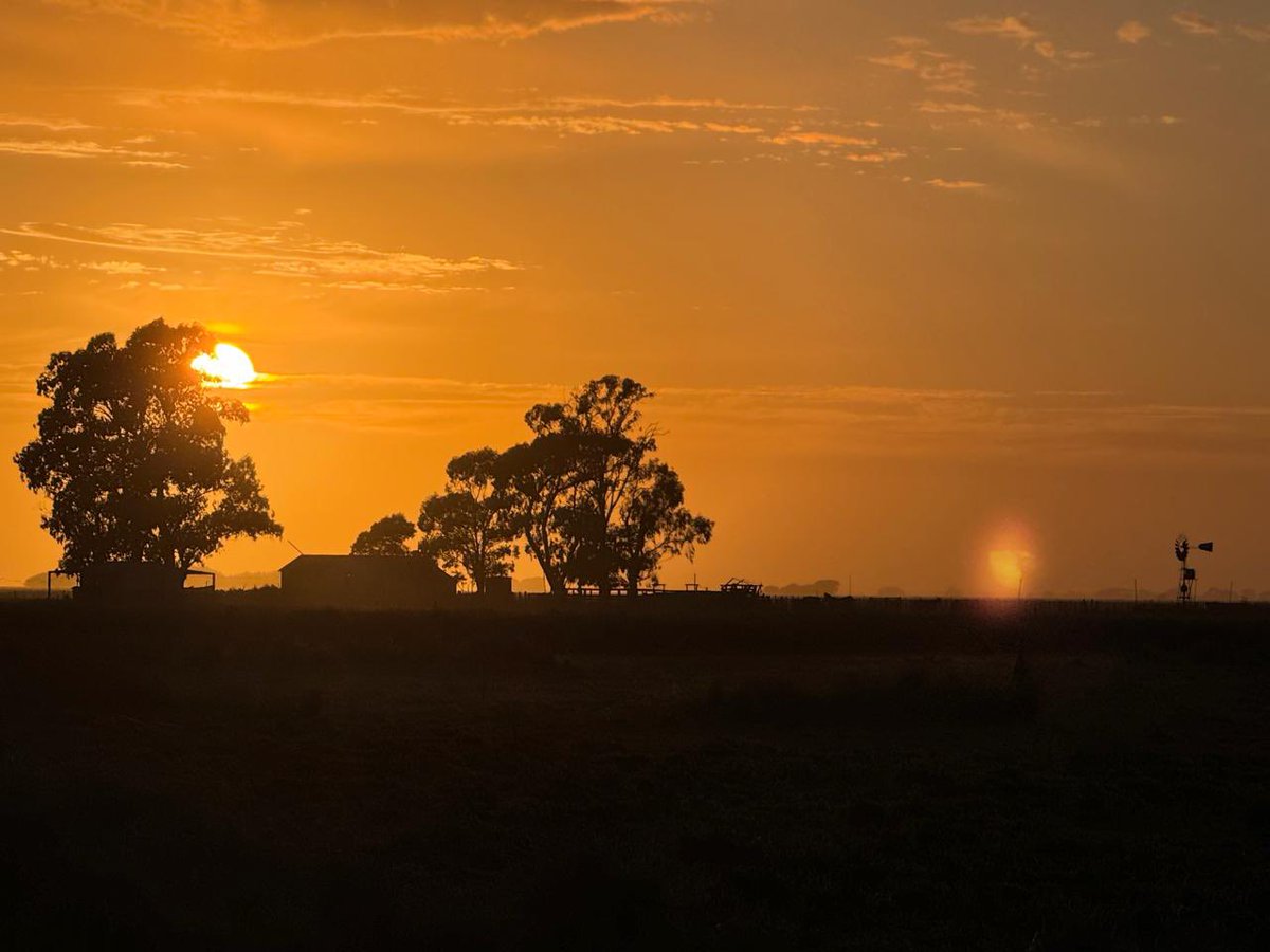 Tata 🧢🐄 tweet media