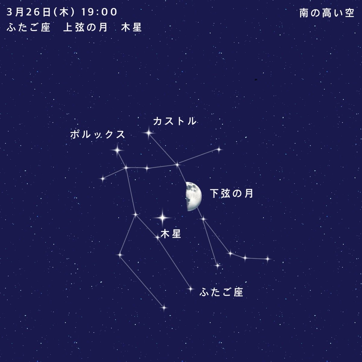 星占い⭐️渡邊ココア tweet media