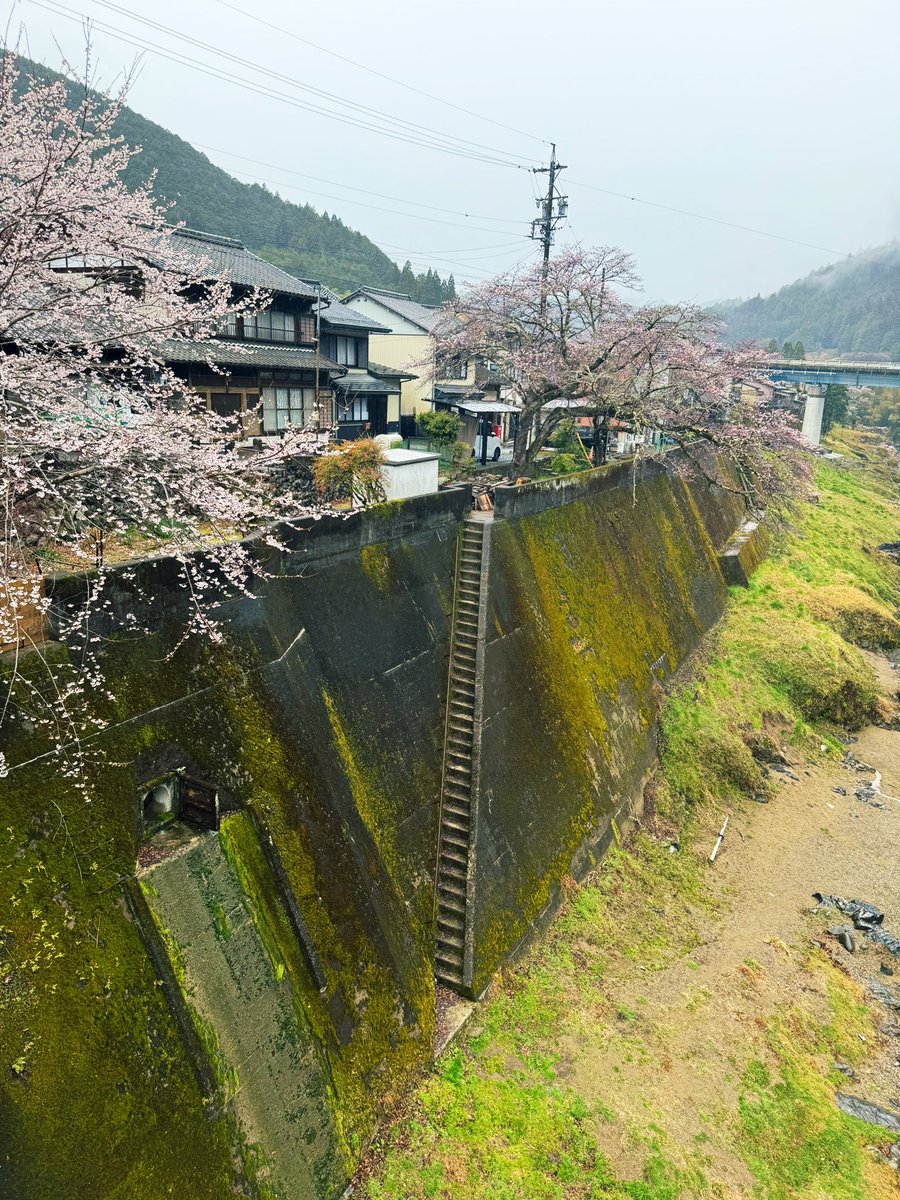 えまにゅえる tweet media