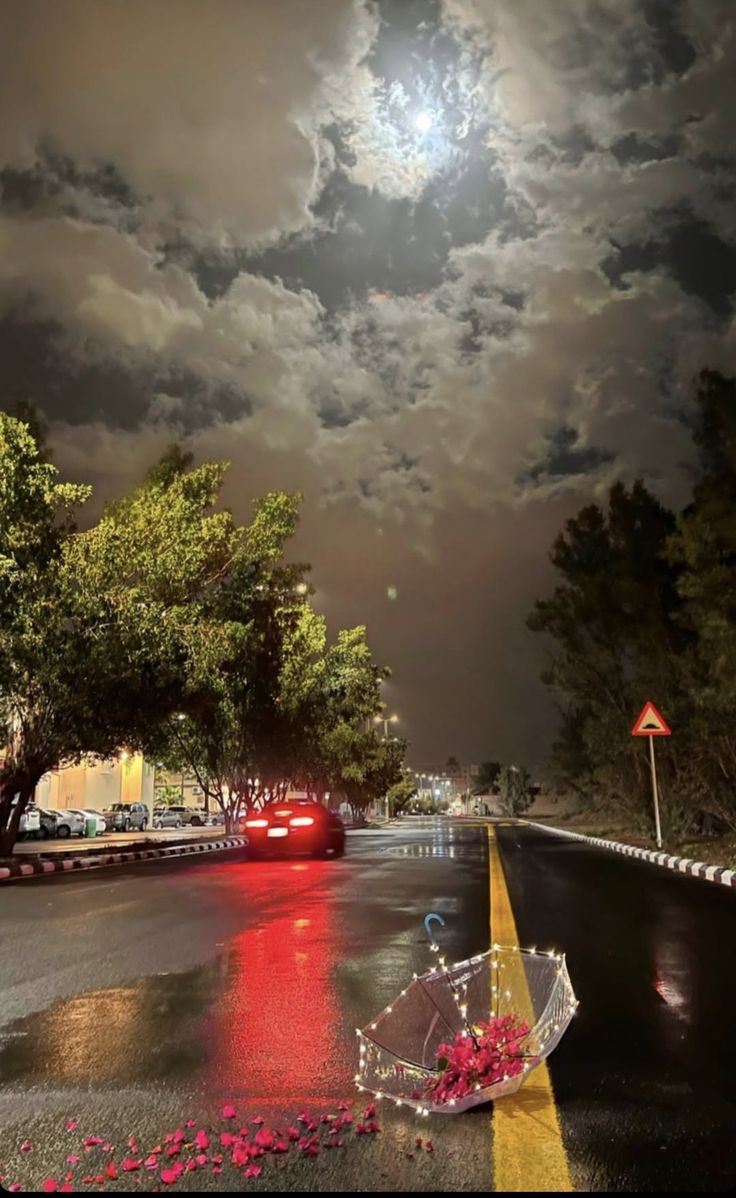  𝓦𝓔𝓓 tweet media