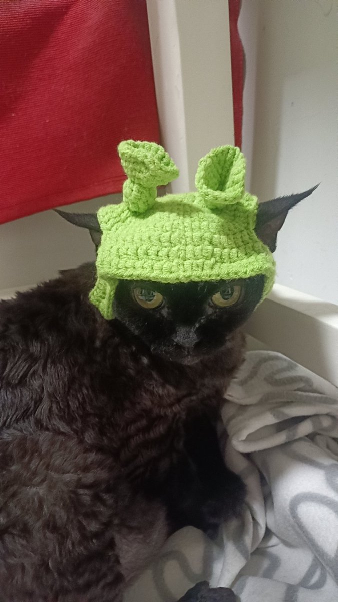 withlove（不接转推诈骗推广不卖号） tweet media