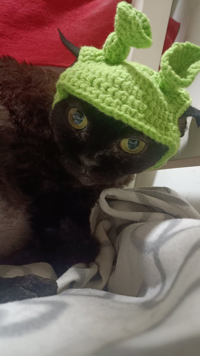 withlove（不接转推诈骗推广不卖号） tweet media