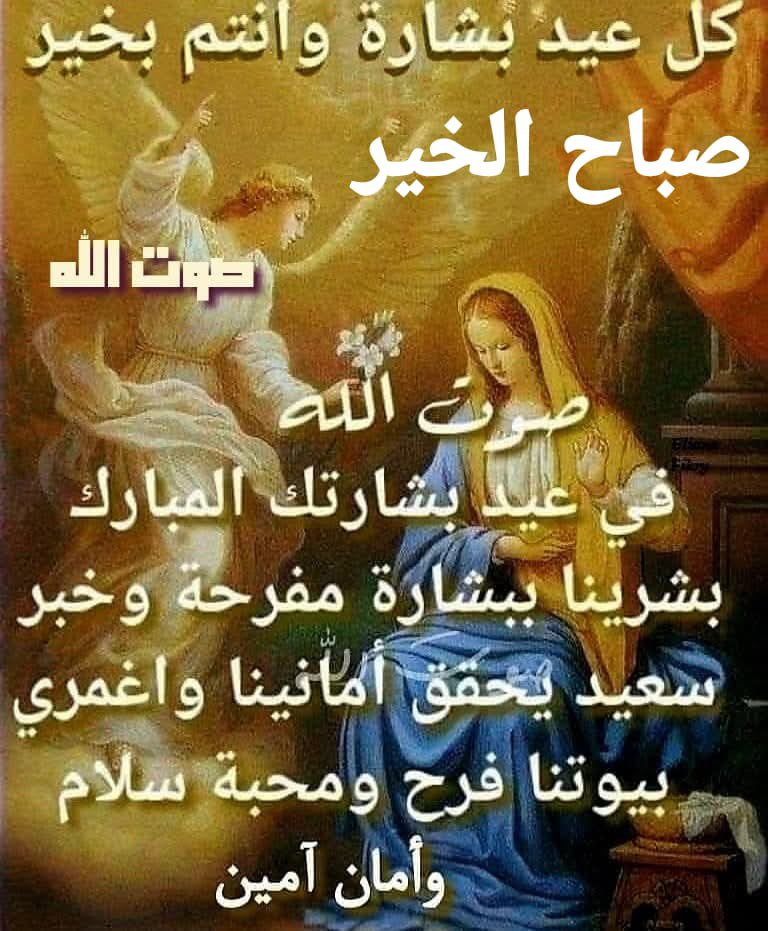 JOSIANE NOHRA tweet media