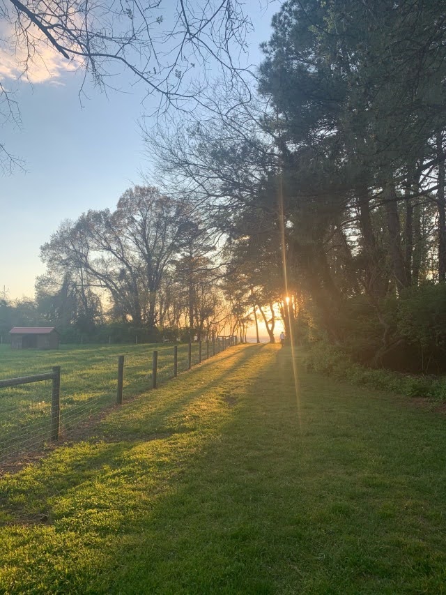 Jörg Rainer tweet media