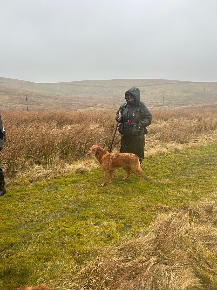 Sandy Childs tweet media