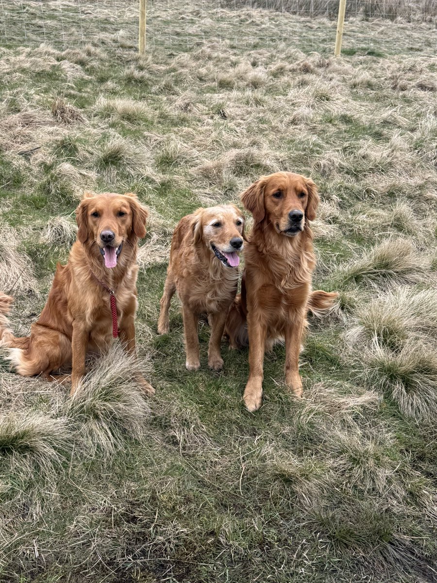 Sandy Childs tweet media