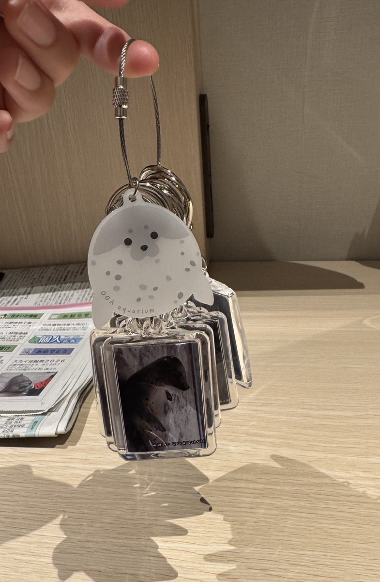 bui🐈🦭 tweet media