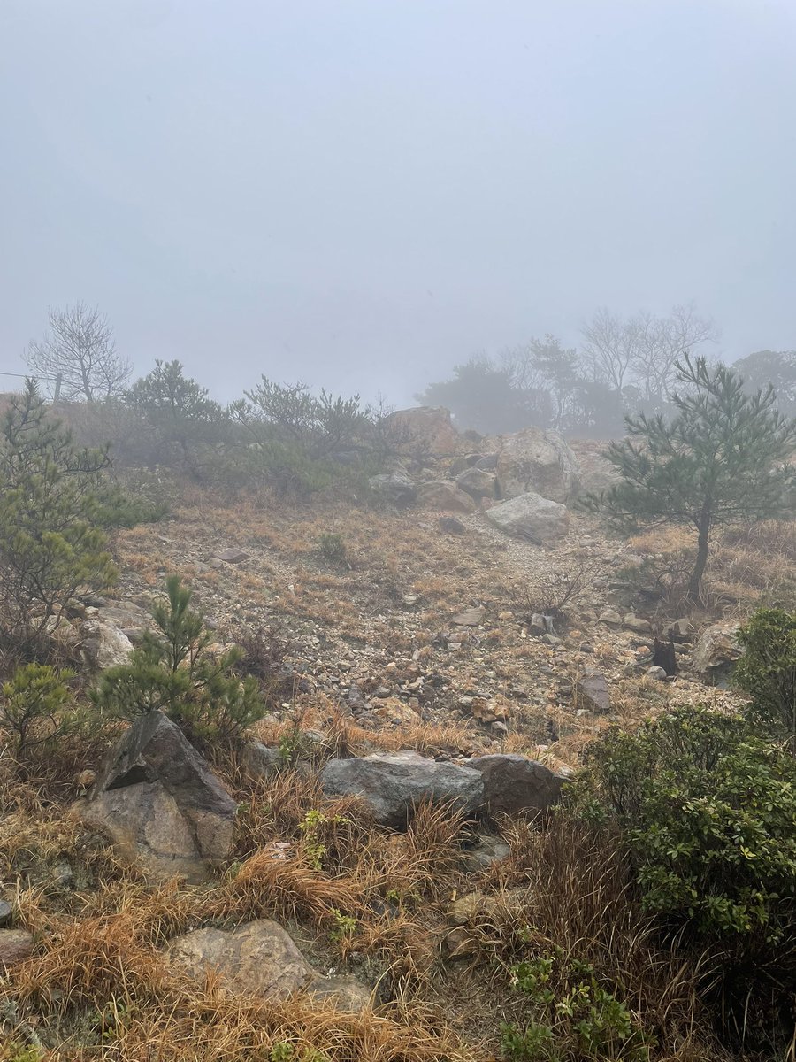 さくぱかたろう tweet media