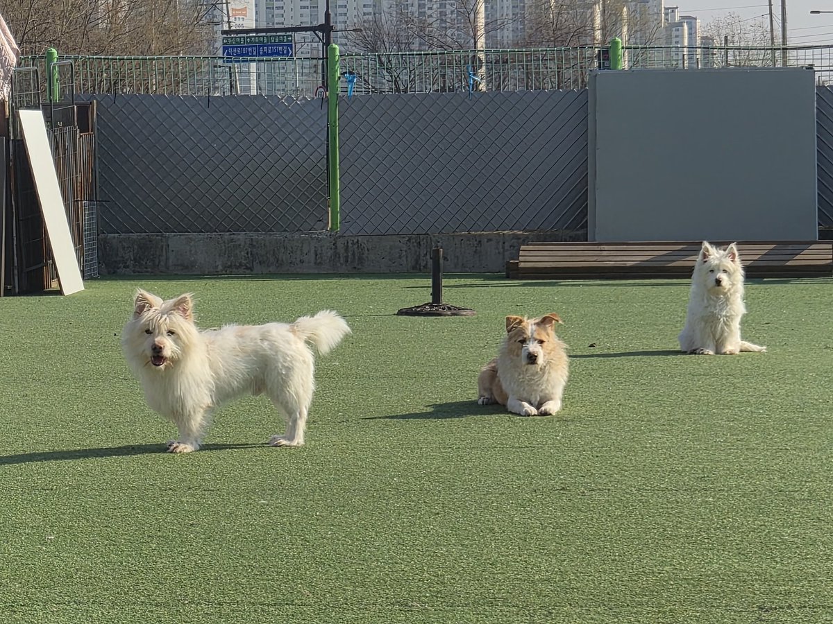 눈누난나❤(사)엔젤프로젝트 tweet media